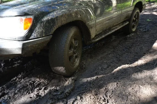 2011-08-07 Grand Mesa 069.webp