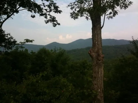 image-3271377465.webp