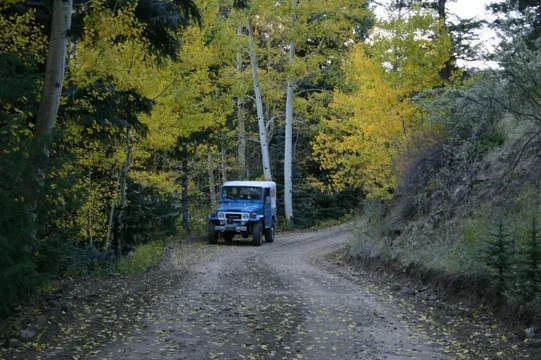 aspens 1.webp