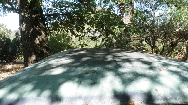 P7071673.webp