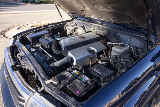 _MG_5965.webp