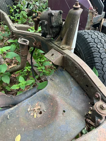 IMG_6355.webp