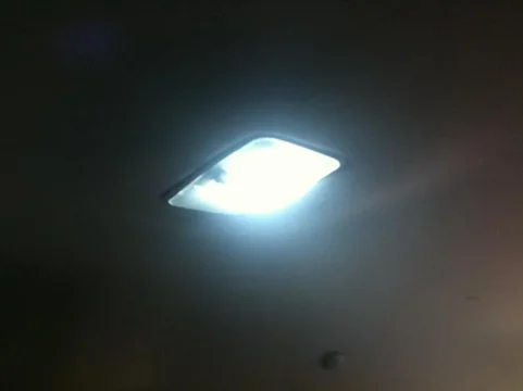 image-72935502.jpg