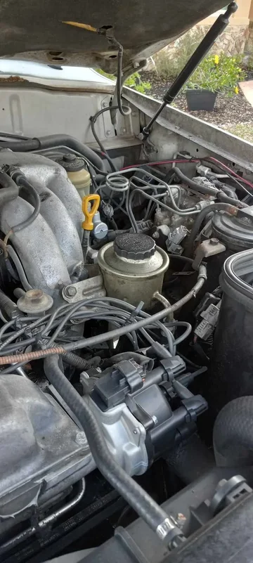 445894753_3973336666260751_4177219122958960447_n.webp