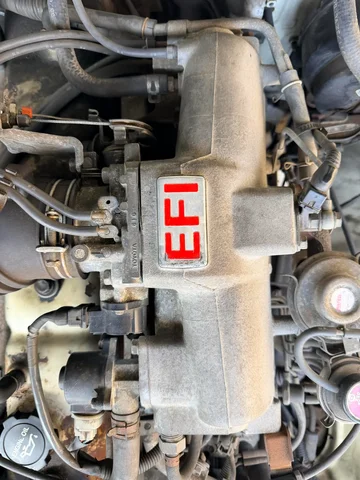 e1.webp
