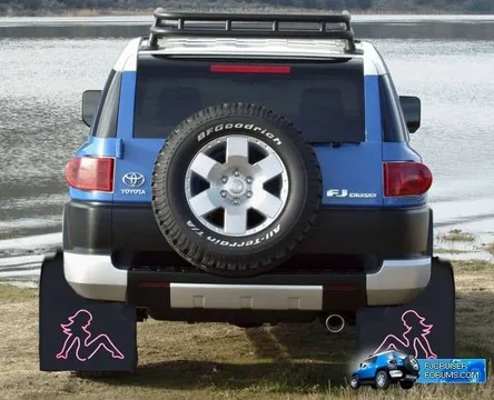 Mudflap1.webp