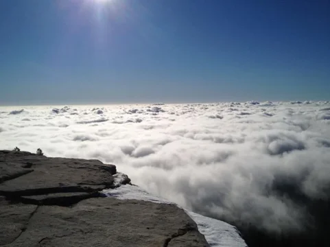 image-3693363279.webp
