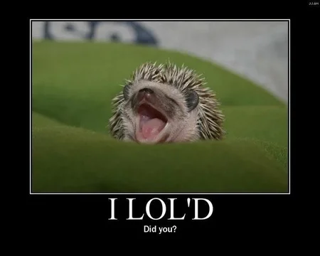 17-I-lol.webp