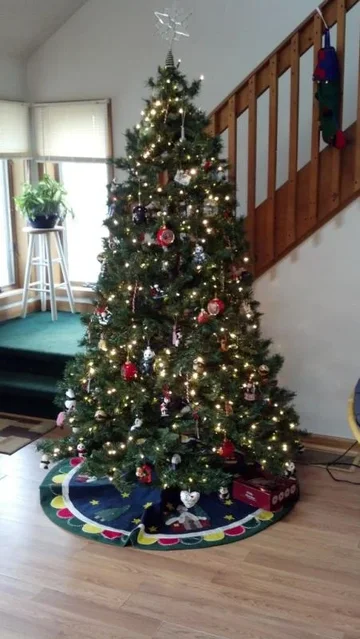 tree.webp