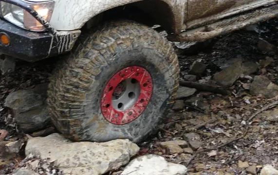 BB09 056-cropped.webp