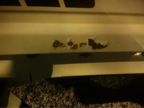 image-2888123322.webp