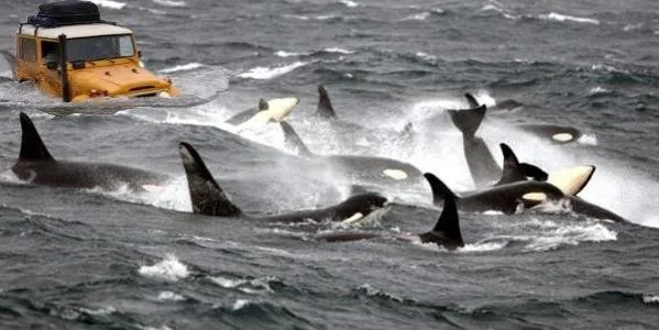 image-1024031365.webp