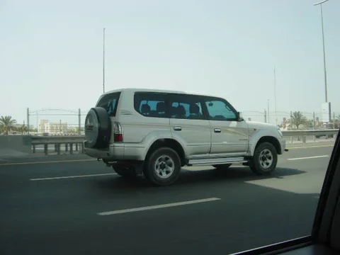 DSC03136.webp