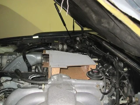 IC sm DS.webp