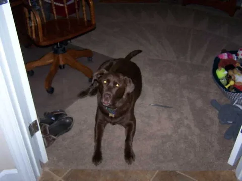 100_1002.webp