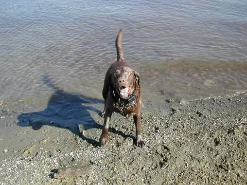 Max1smaller jpeg3.webp