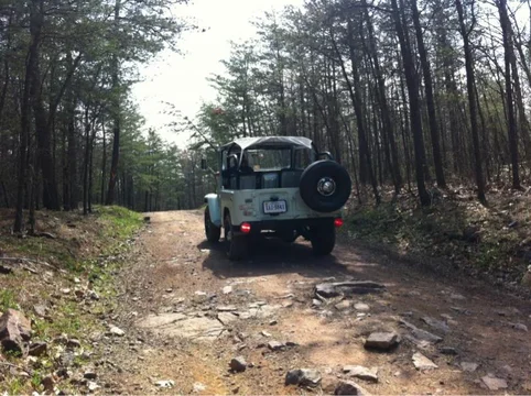 image-2013866973.webp