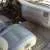 land cruiser 4.webp