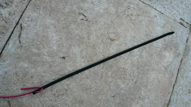 P1050424.jpg