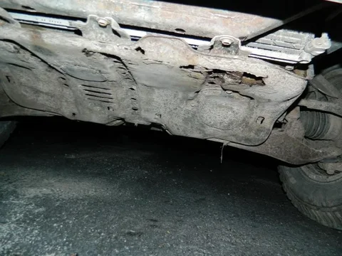 DSCN0221.jpg