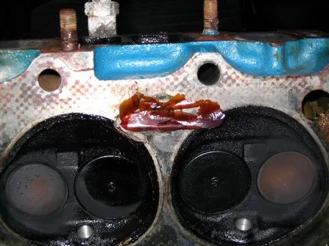 head 3.webp