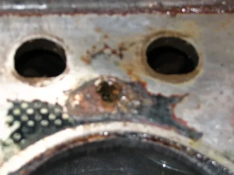 head 6.webp