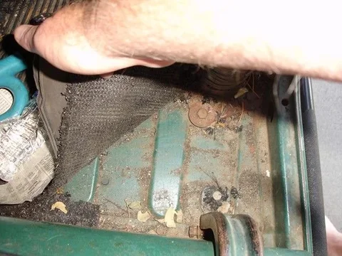 029 [new pics 1222].webp