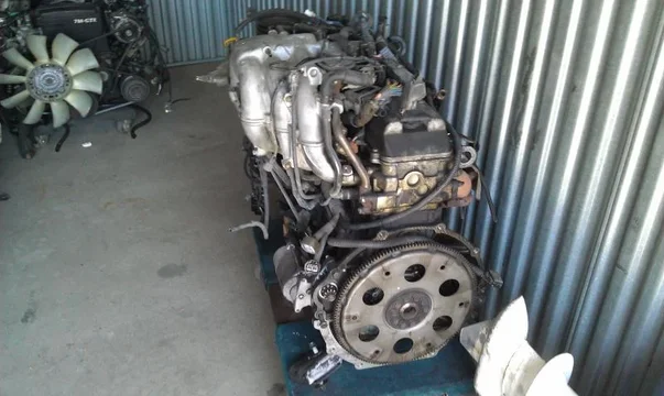 IMAG0172.webp