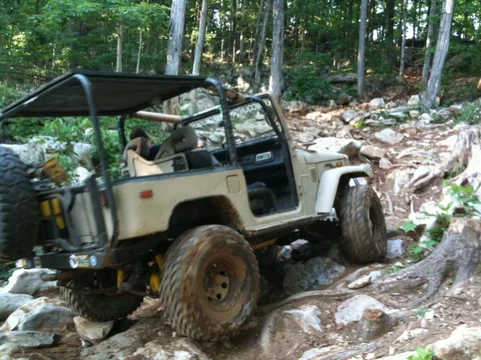 image-1797728864.webp