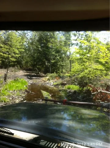 image-962906645.webp