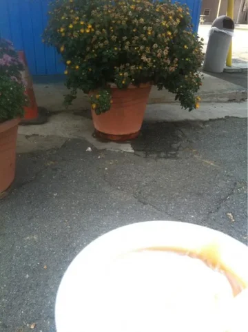 image-2807493505.webp