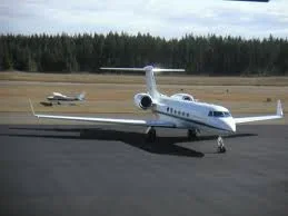 image-3675016076.webp
