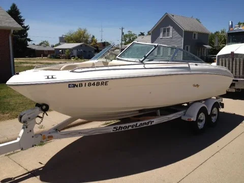 Sea Ray.webp