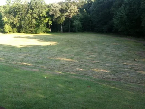 image-1368059677.webp
