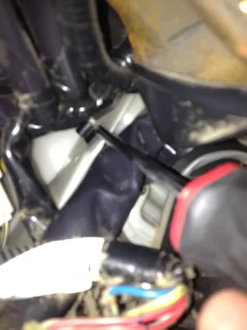 image-3935733927.webp