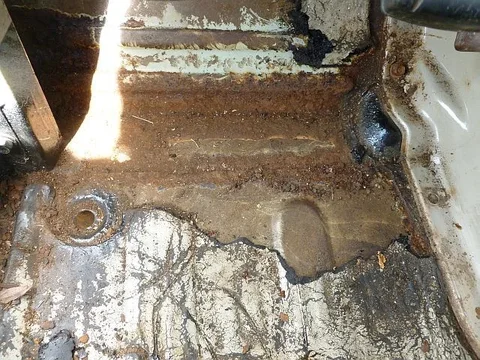 dside peel back.webp