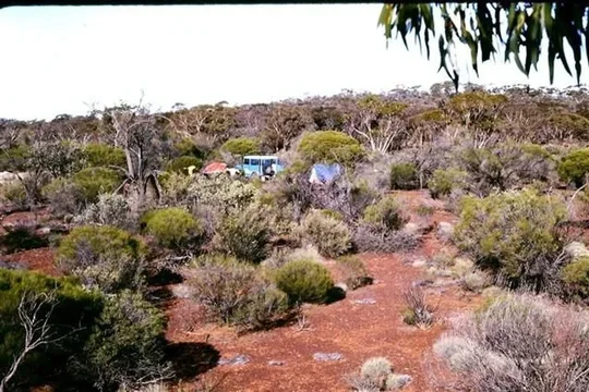 1982NearBalaundiEastofKalgoorlie.webp