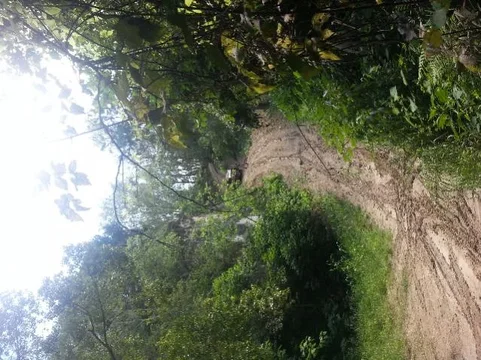 ForumRunner_20120716_194803.jpg