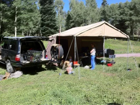 image-91172679.jpg