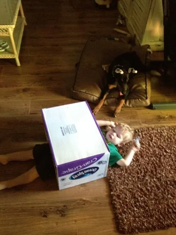 image-868070015.webp