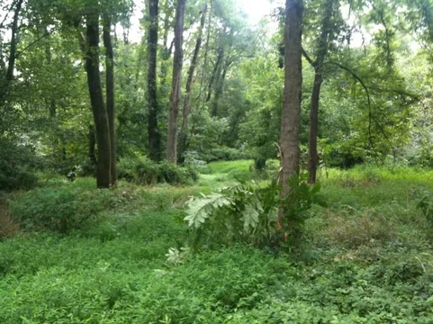 image-2495473729.webp