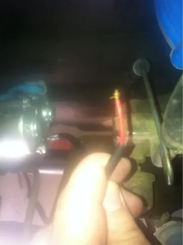 image-3918726174.webp