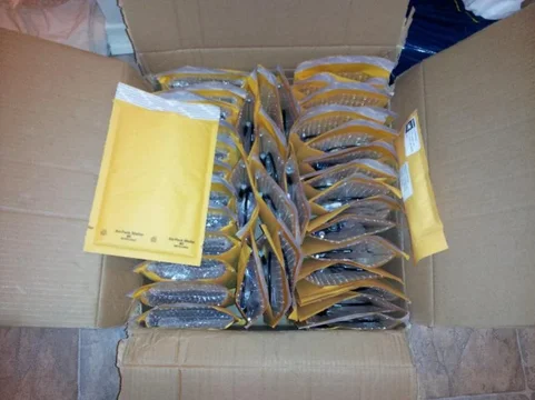ForumRunner_20120806_051018.webp