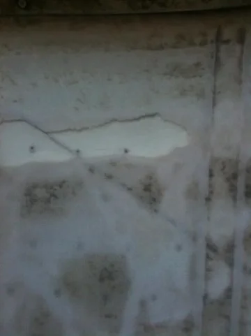 image-3009619587.webp