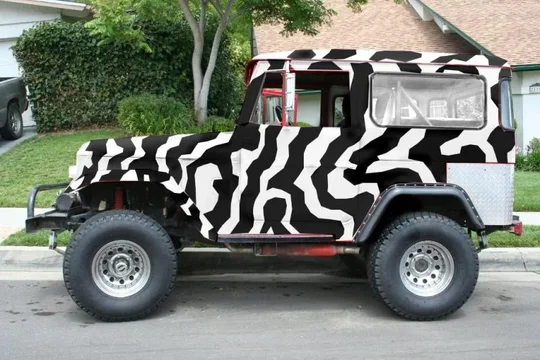 zebra.webp