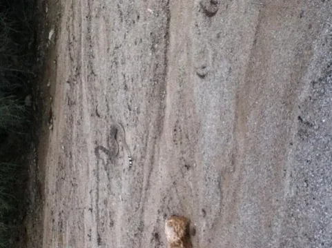 ForumRunner_20120912_115654.jpg