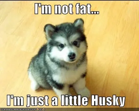 Husky.webp