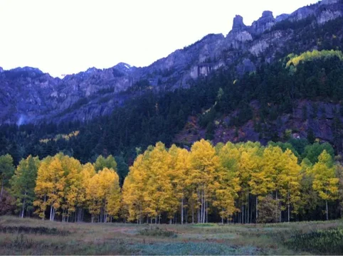 image-2292065674.webp