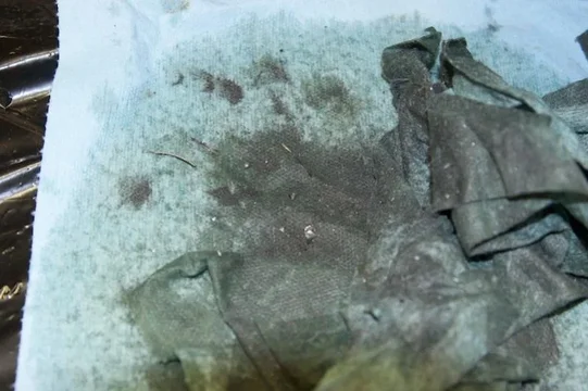 Compressor  073.webp