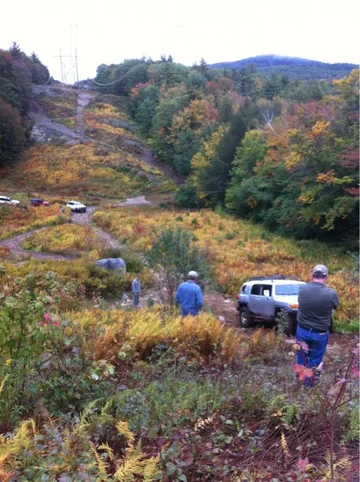 image-4104794015.webp